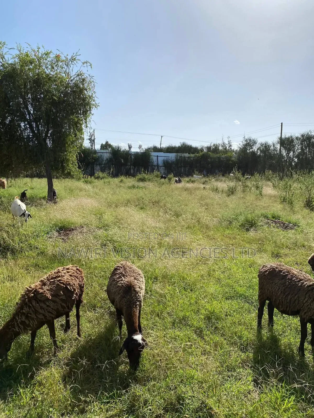 Prime 100*100 Plot for Sale Along Ruai-Githunguri Road Corner D