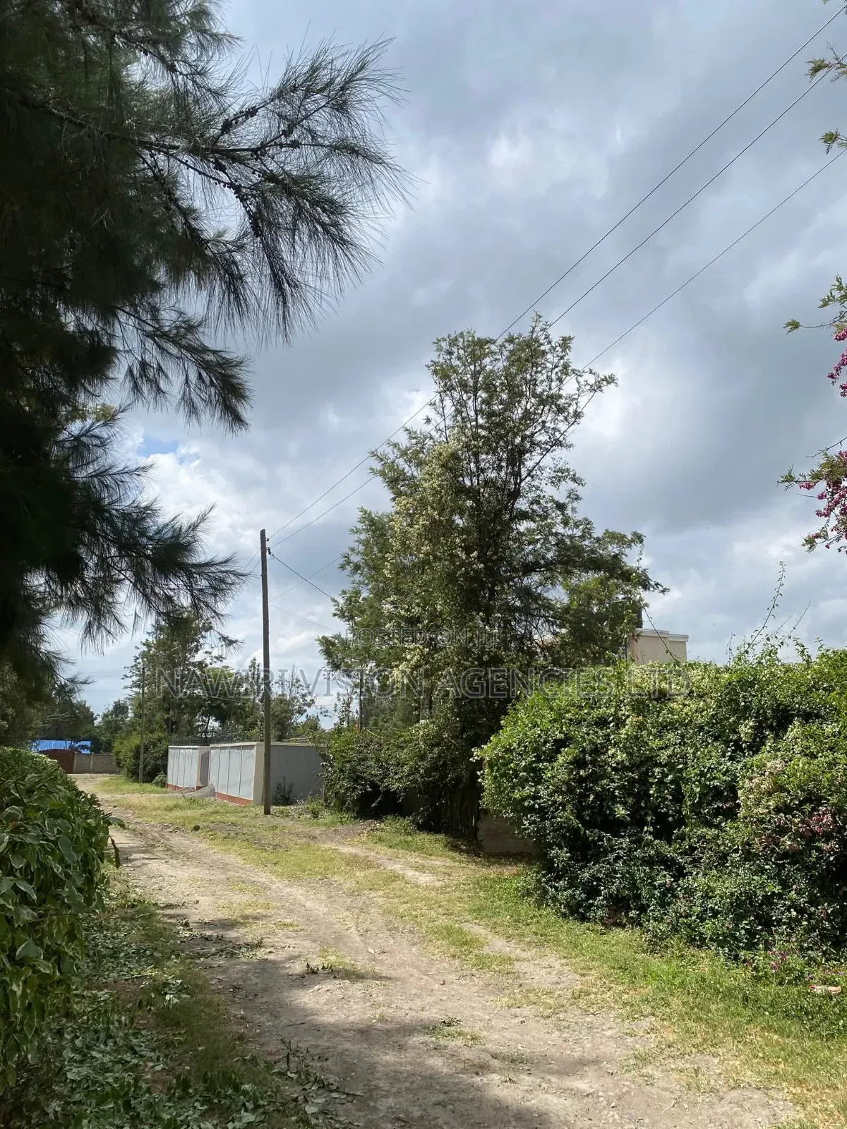 Prime 100*100 Plot for Sale in Ruai