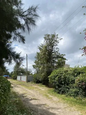 Prime 100*100 Plot for Sale in Ruai