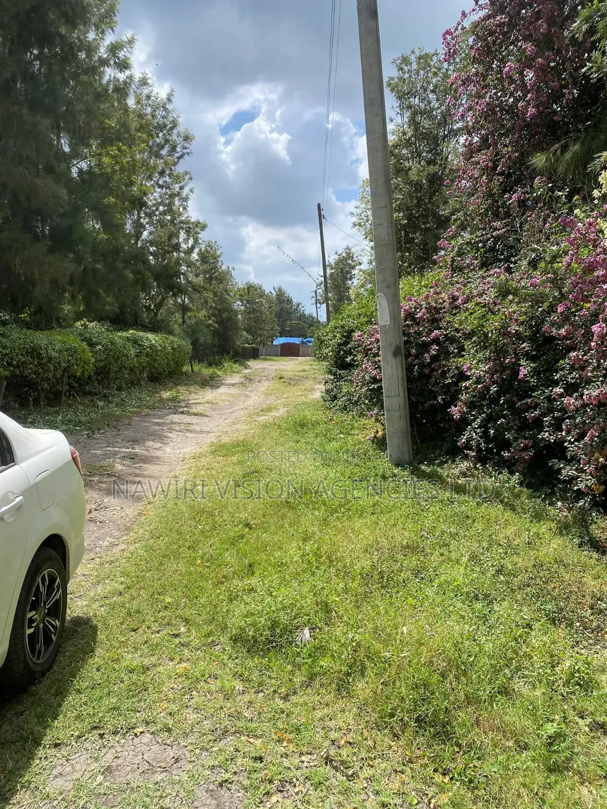 Prime 100*100 Plot for Sale in Ruai