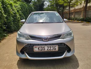 Toyota Corolla Fielder 2017 Silver