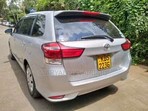Toyota Corolla Fielder 2017 Silver