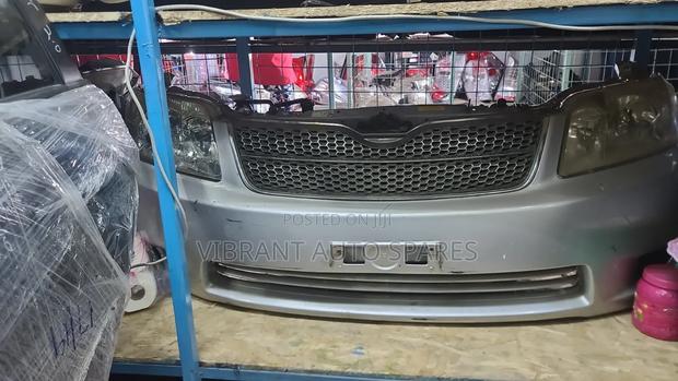 Nze 2005 Nosecut Nonxenon
