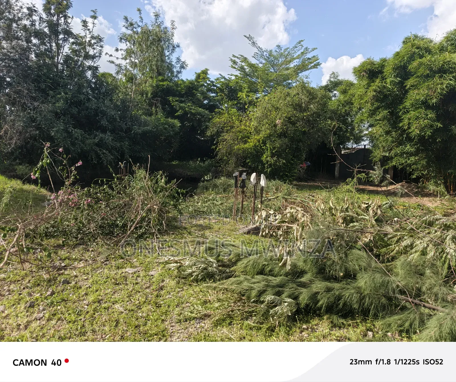 100x100 Plot for Sale
