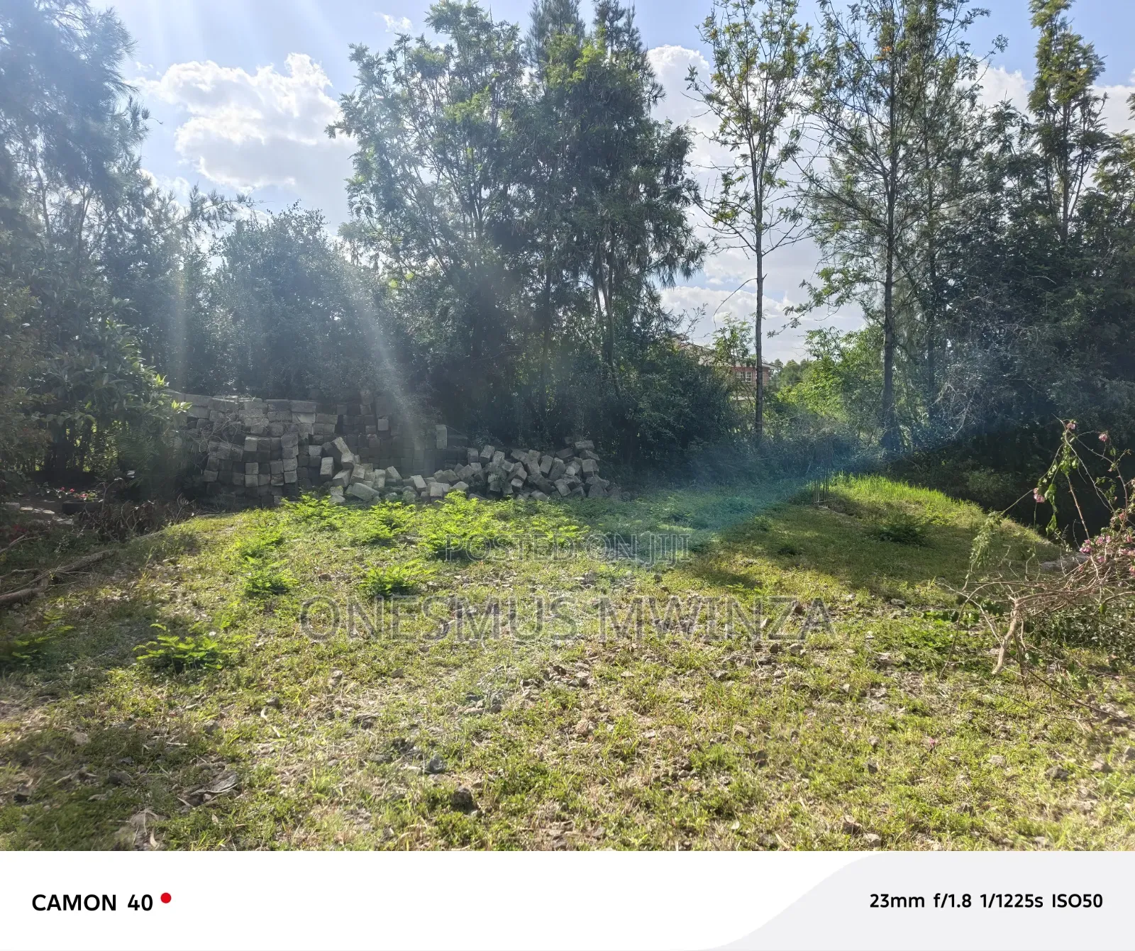 100x100 Plot for Sale