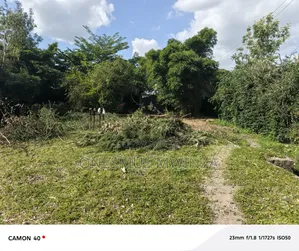 100x100 Plot for Sale