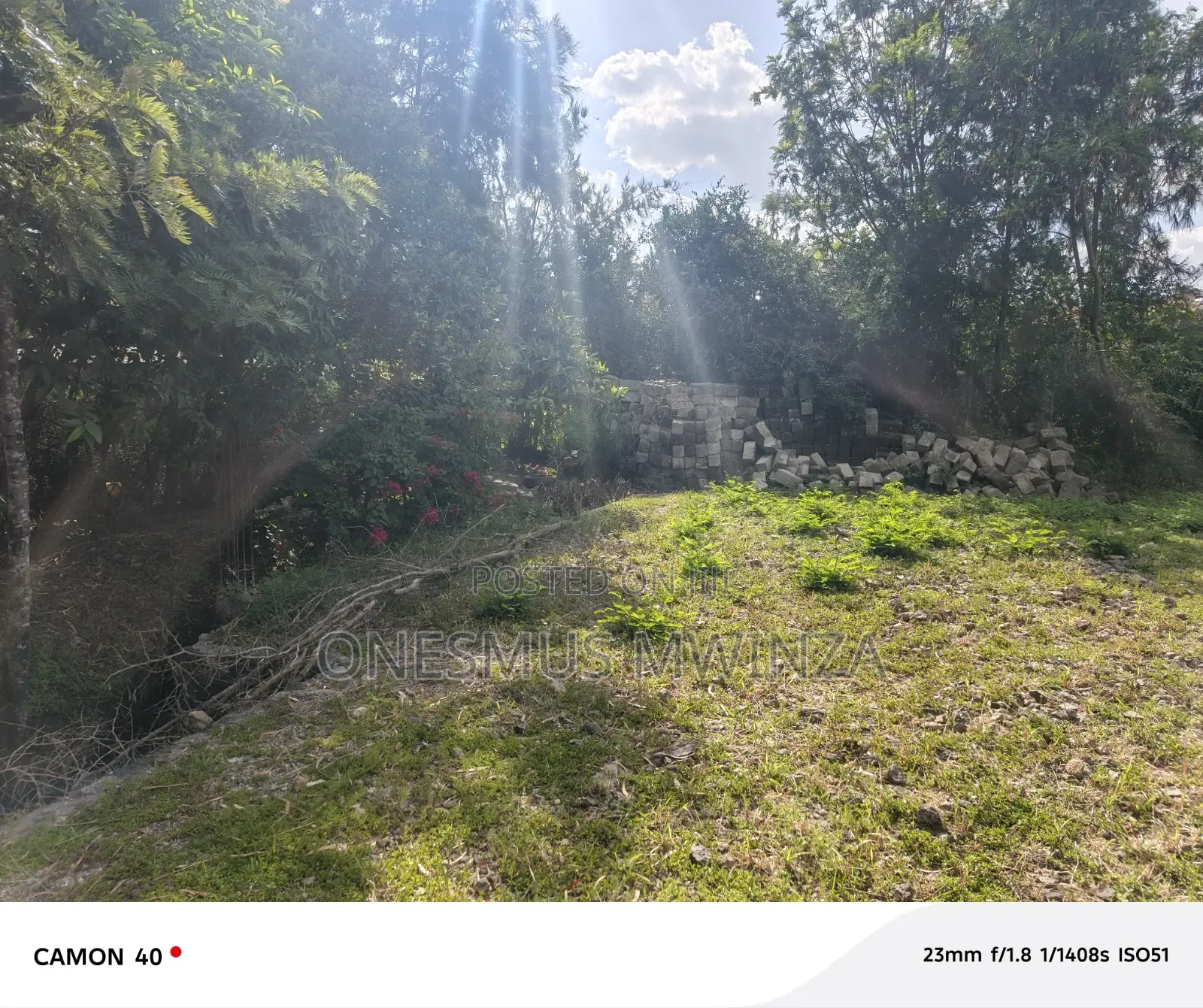100x100 Plot for Sale