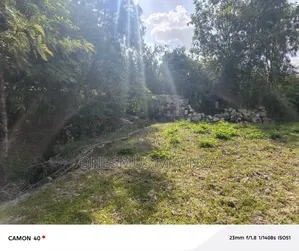 100x100 Plot for Sale