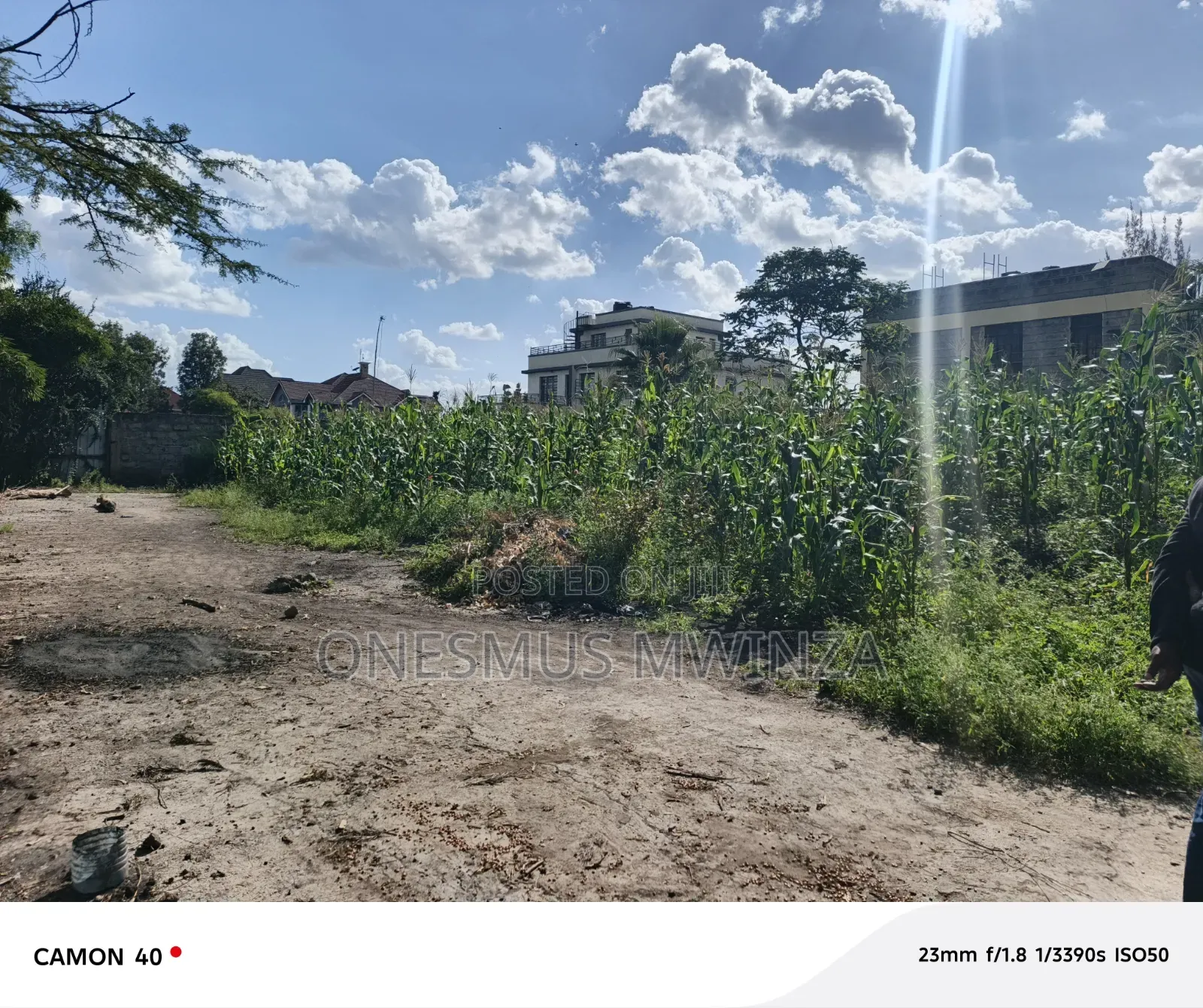 100x100 Plot for Sale