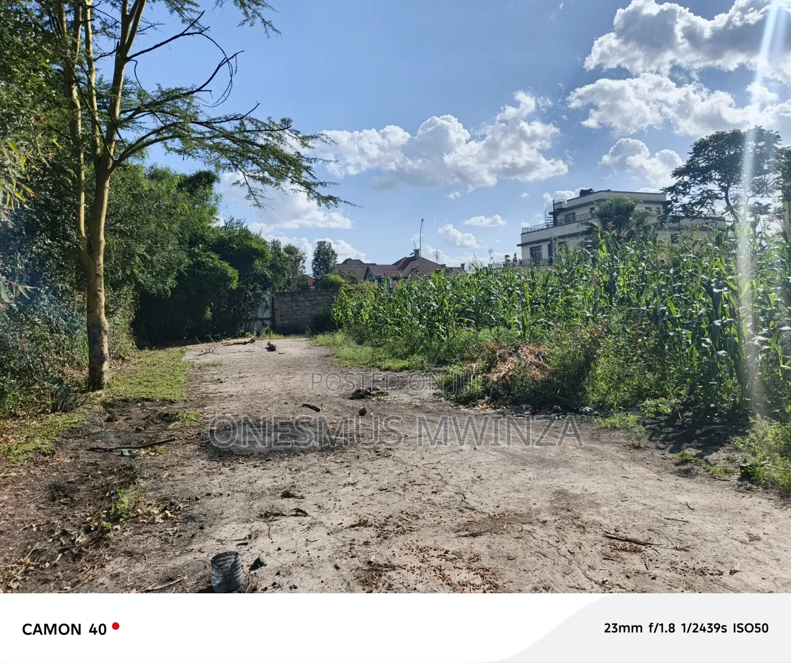100x100 Plot for Sale