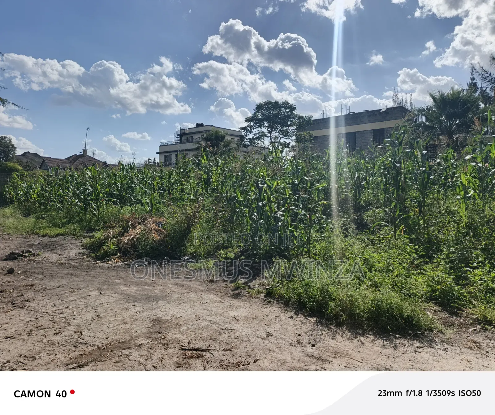 100x100 Plot for Sale