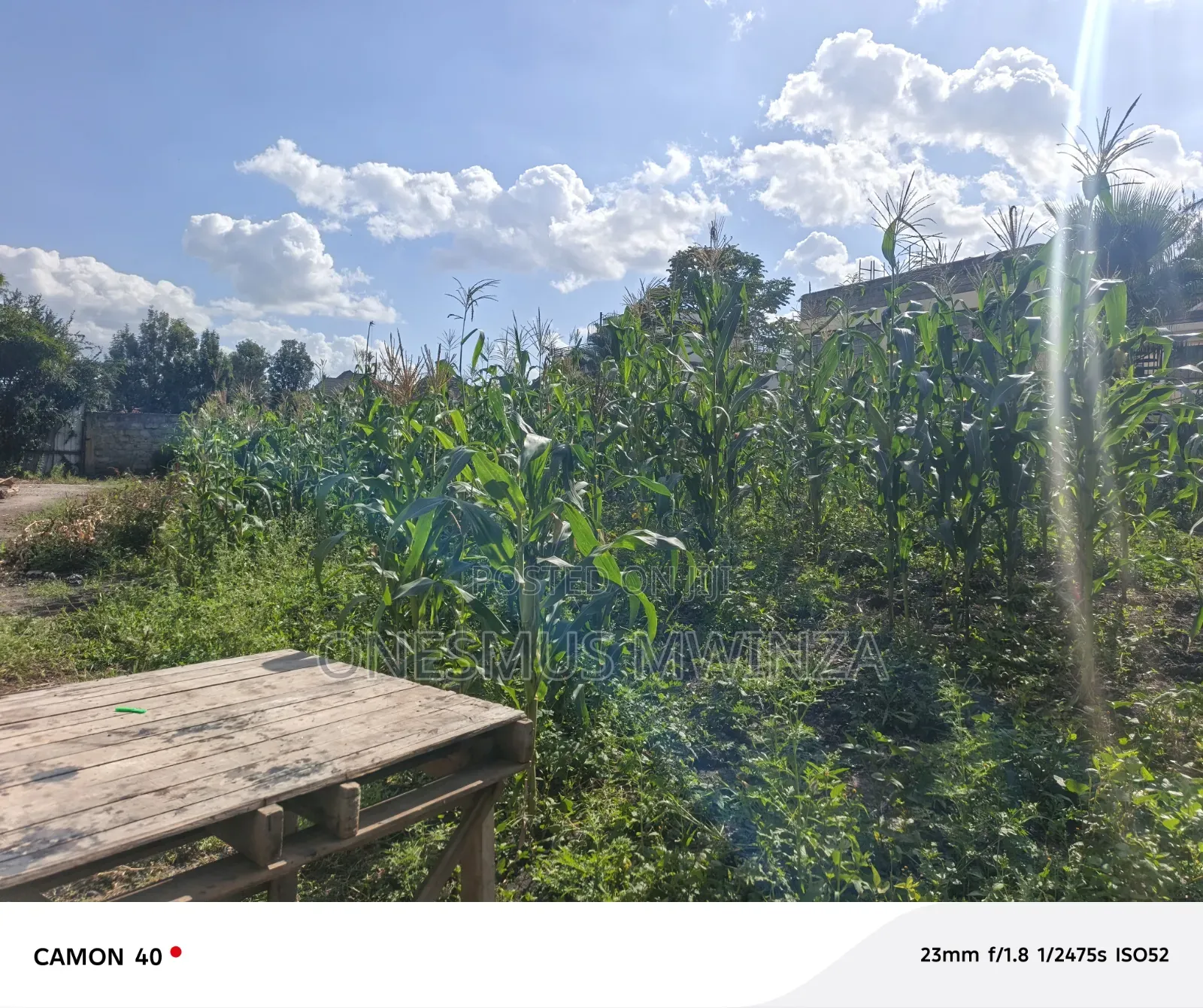 100x100 Plot for Sale