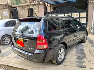 Toyota Corolla Fielder 2009 Black