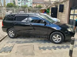 Toyota Corolla Fielder 2009 Black