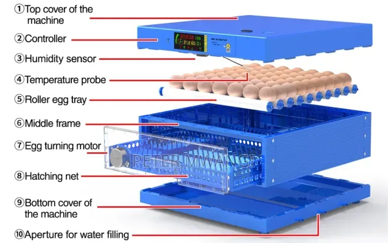 Chicken Incubator