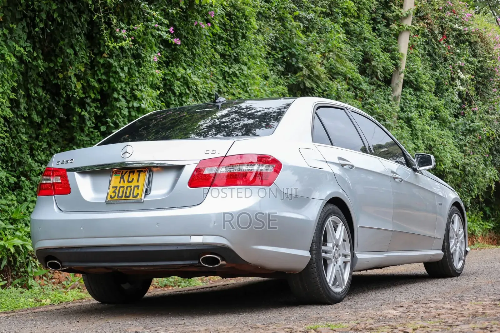 Mercedes-Benz E250 2011 Silver