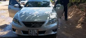 Toyota Mark X 2.5 RWD 2010 Gray
