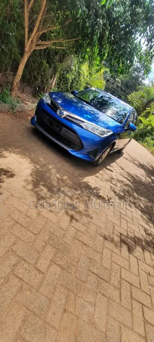 Toyota Corolla Fielder 2019 Blue