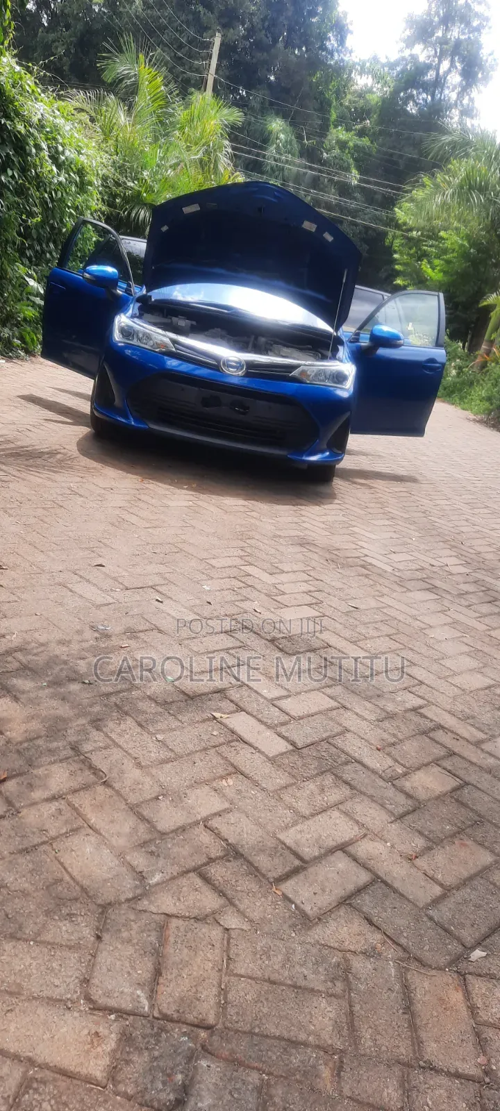 Toyota Corolla Fielder 2019 Blue