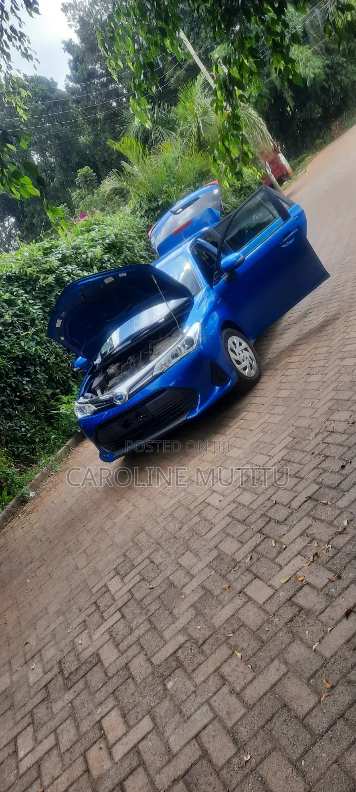 Toyota Corolla Fielder 2019 Blue