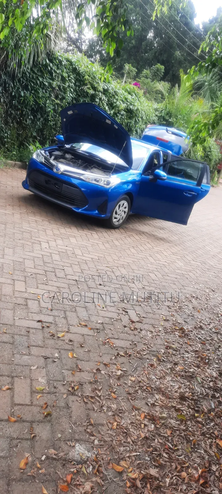 Toyota Corolla Fielder 2019 Blue