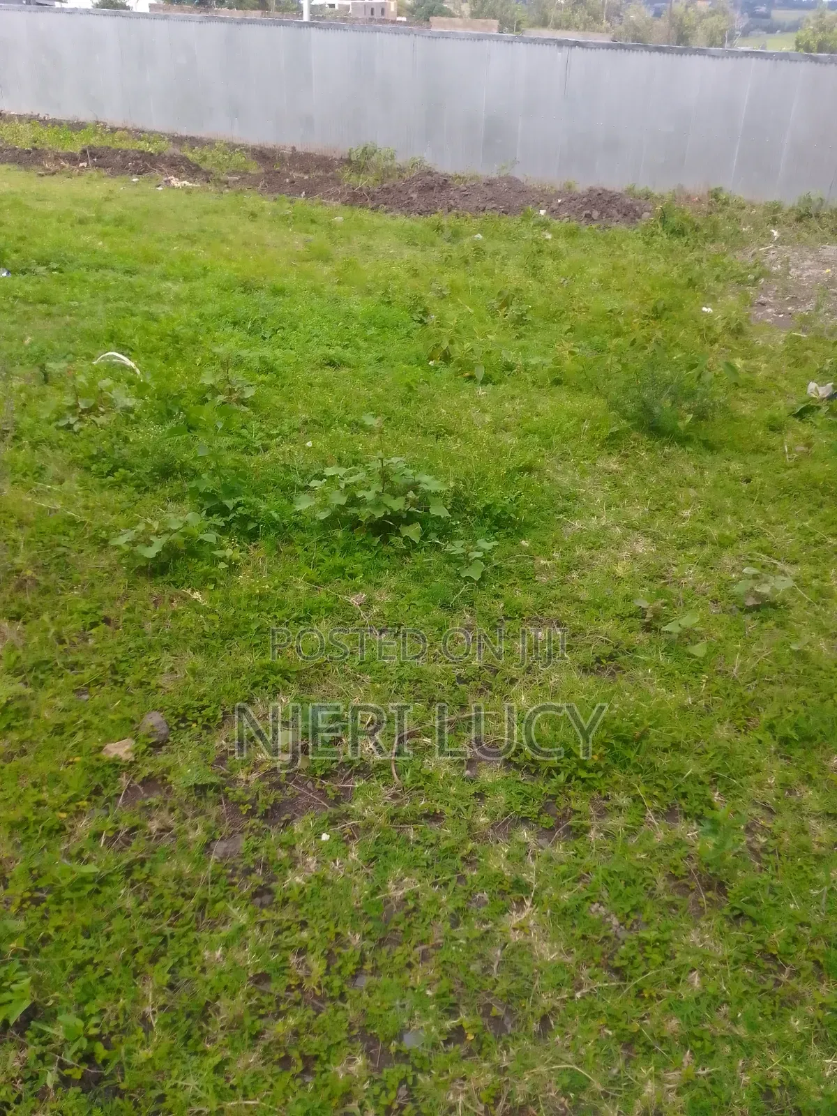An 1/8 Land for Sale