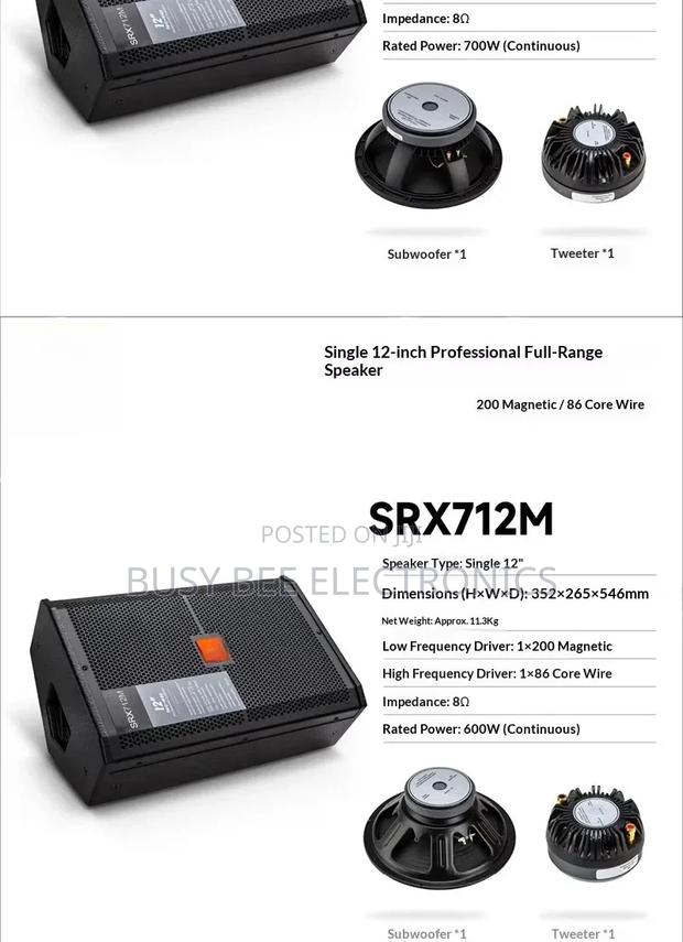Single 12-Inch Professional Audio Speaker