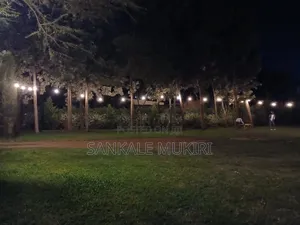 Grounds for Hire