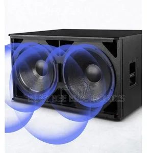 Professional Stage Performance Bar Entertainment Audio 18 Inch