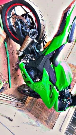 Jincheng Bike 2020 Green