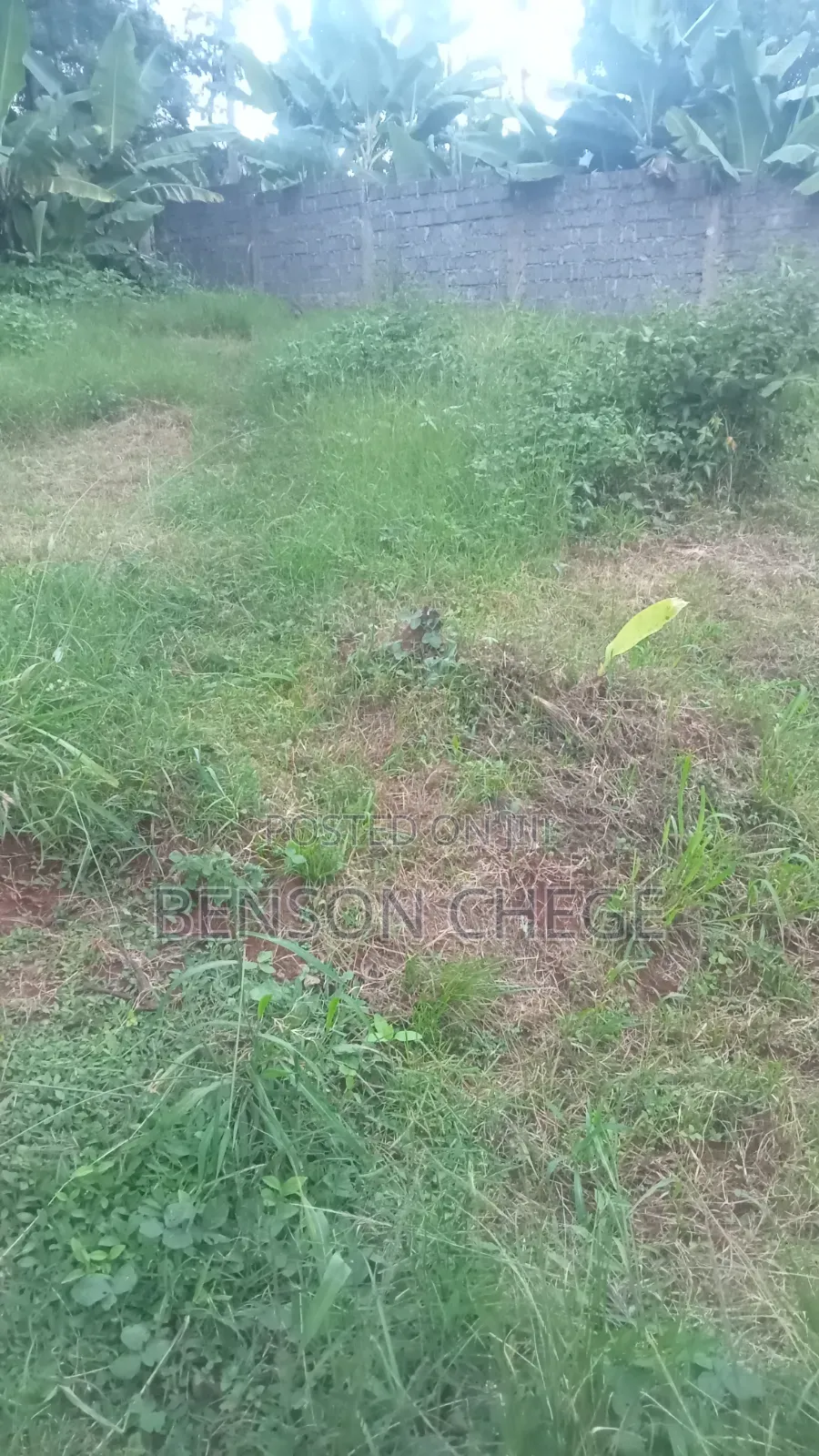 50by100plot for Sale in Maragua Town