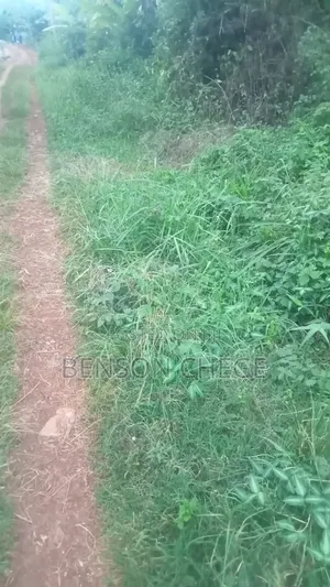 50by100plot for Sale in Maragua Town