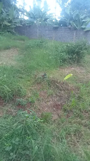50by100plot for Sale in Maragua Town
