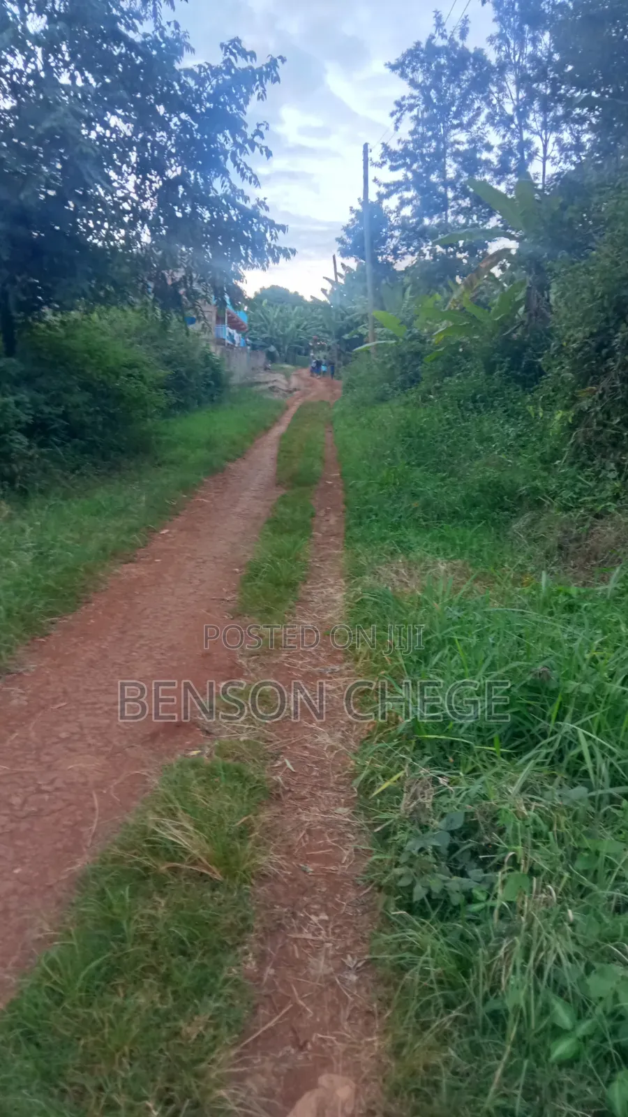 50by100plot for Sale in Maragua Town