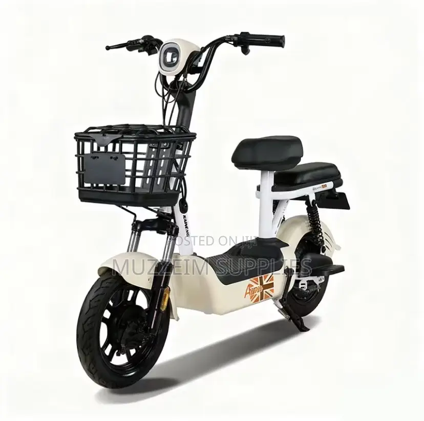 Electric Bike