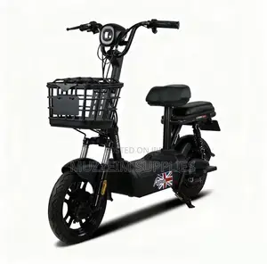 Electric Bike