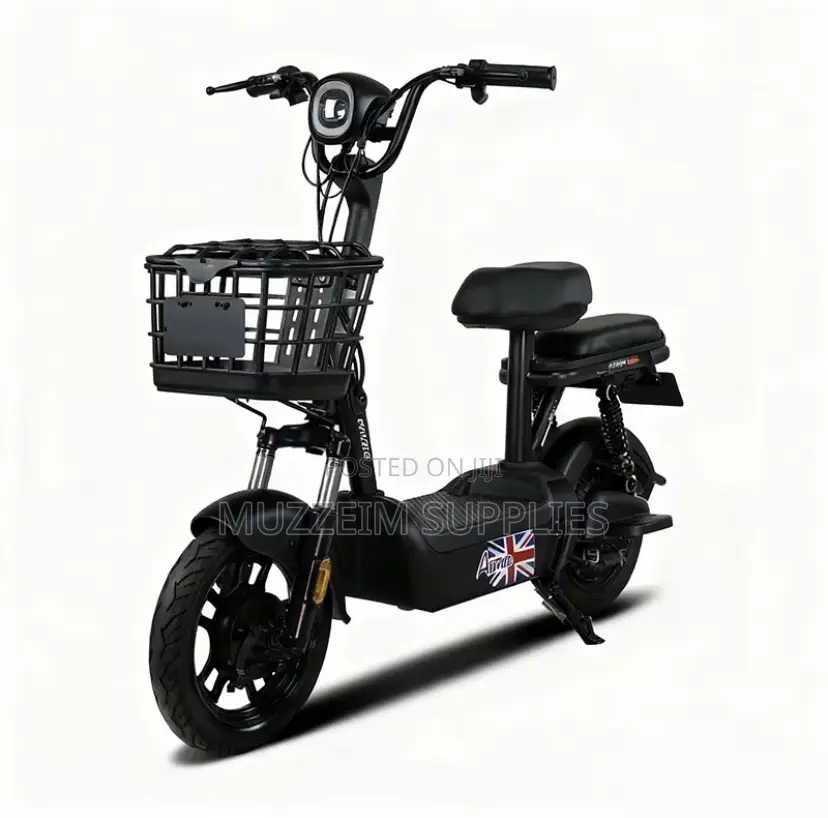 Electric Bike