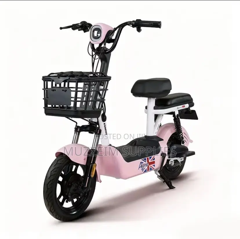 Electric Bike