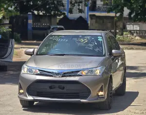 Toyota Axio 2018 Gold