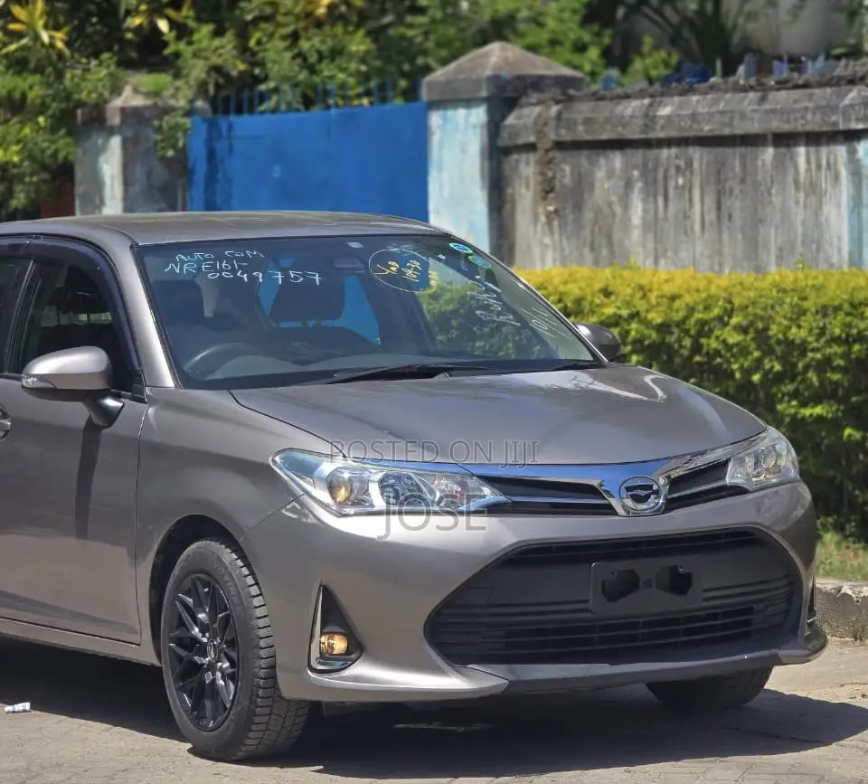 Toyota Axio 2018 Gold