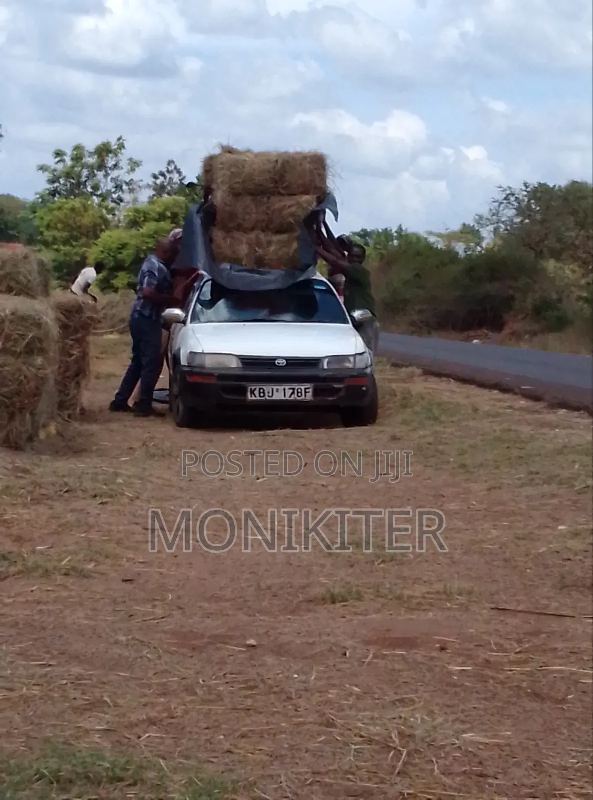 Animal Feeds / Hay