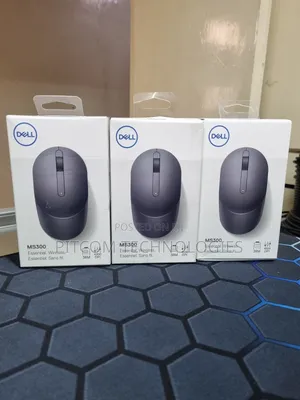Dell Ms300