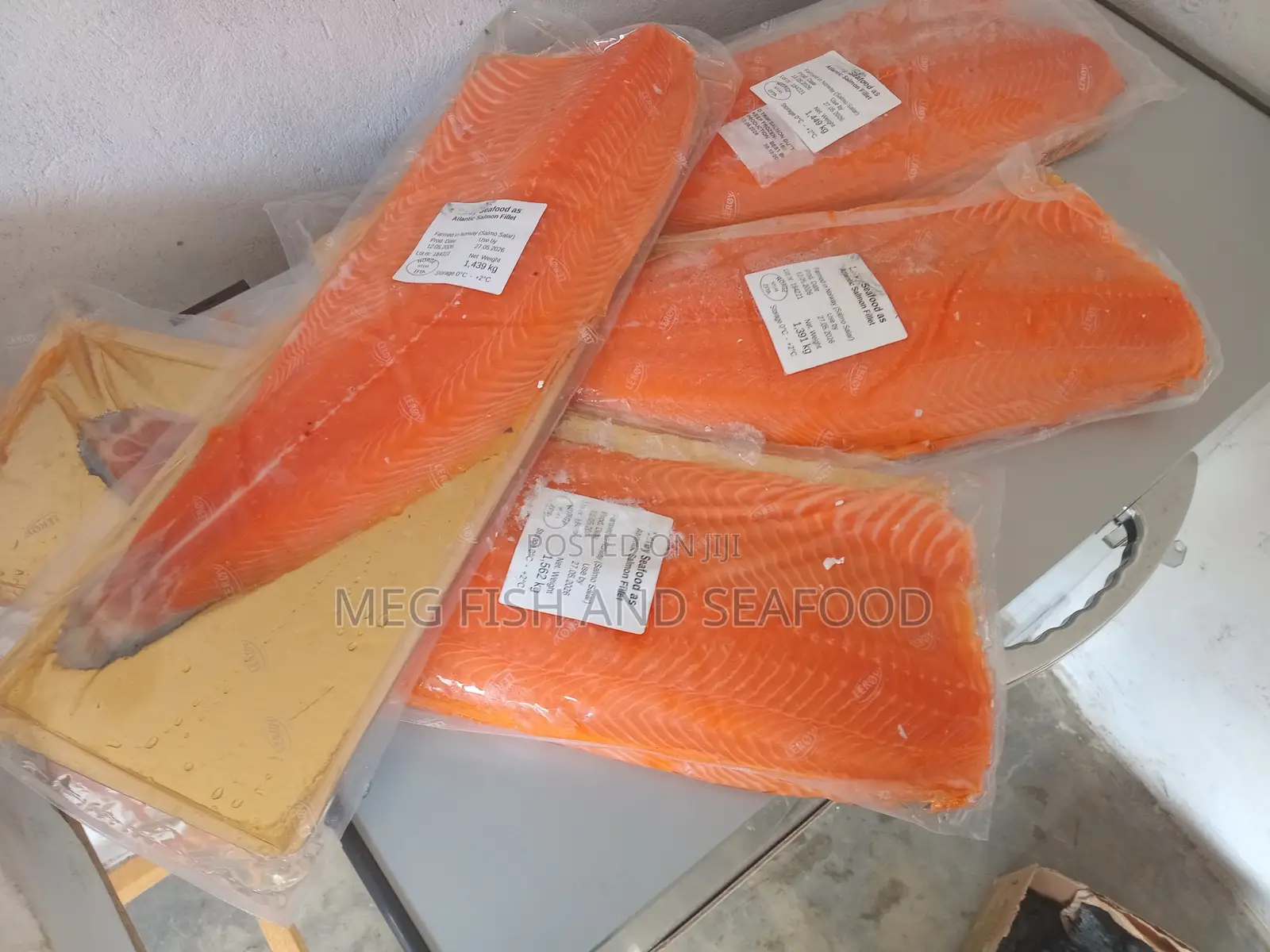 Salmon Fillets