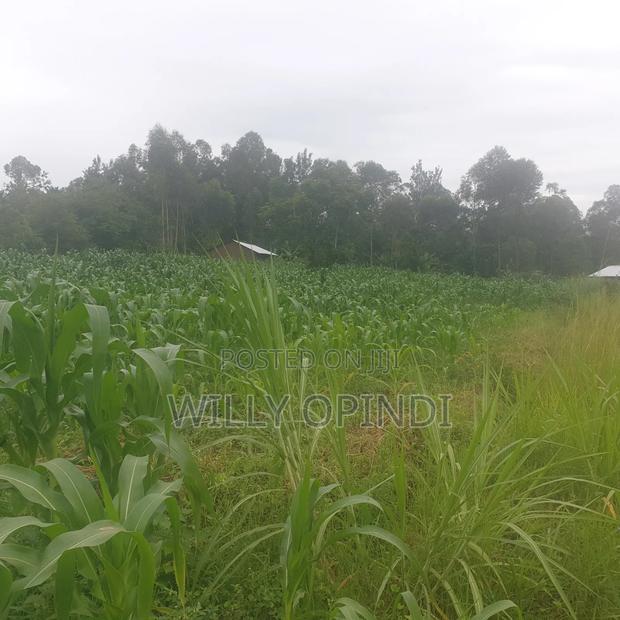 Land for Sale - thumbnail 2