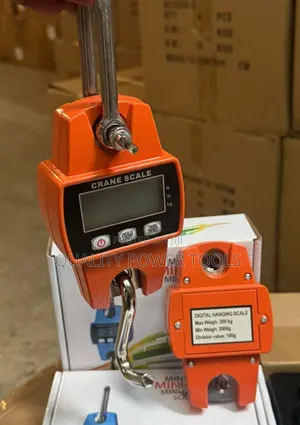 High-Precision Digital Crane Scales With a 300kg Capacity.