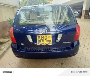 Toyota Corolla Fielder 2004 Blue