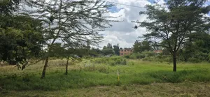 50x100fts Plot for Sale in Ruiru Kamakis