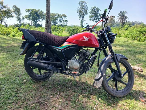 Honda XL 125 2024 Red