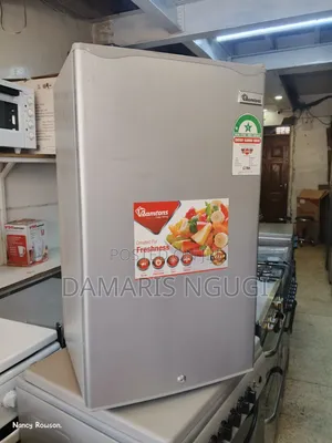 Ramtons Mini Fridge ( 90litres)