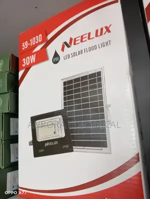 30 Watts Flood Light